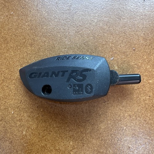 Giant ridesense ant - giant, 2.0